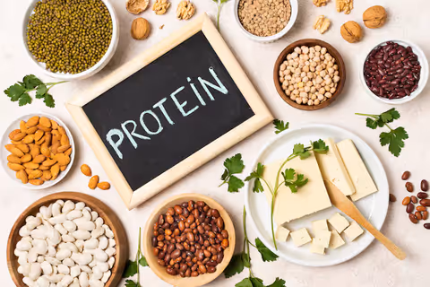 Understanding Custom Protein Production for Recombinant Protein
